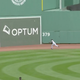 Illustration for article titled Jackie Bradley Jr., What